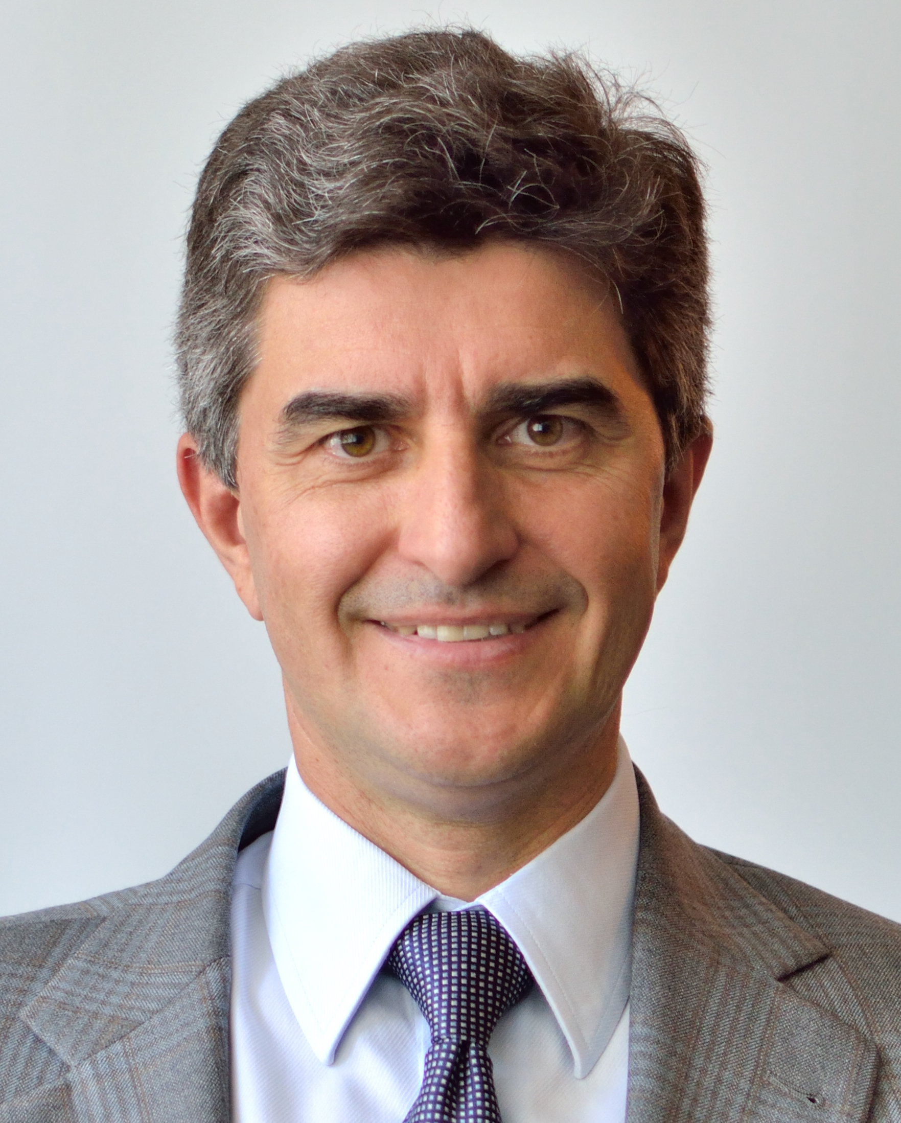 Профессор Юрий  Гогоци, Университет Дрекселя, США