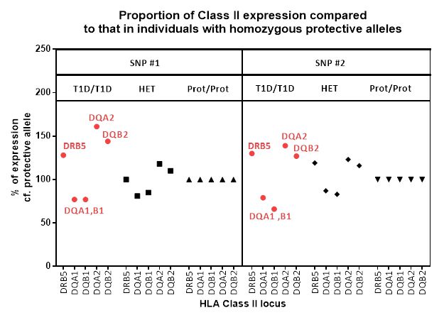 Proportion of Class II expression compared to that in individuals with homozygous protective alleles