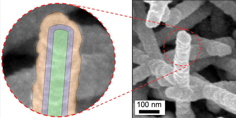 TMV microscope