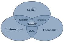 sustainability business course