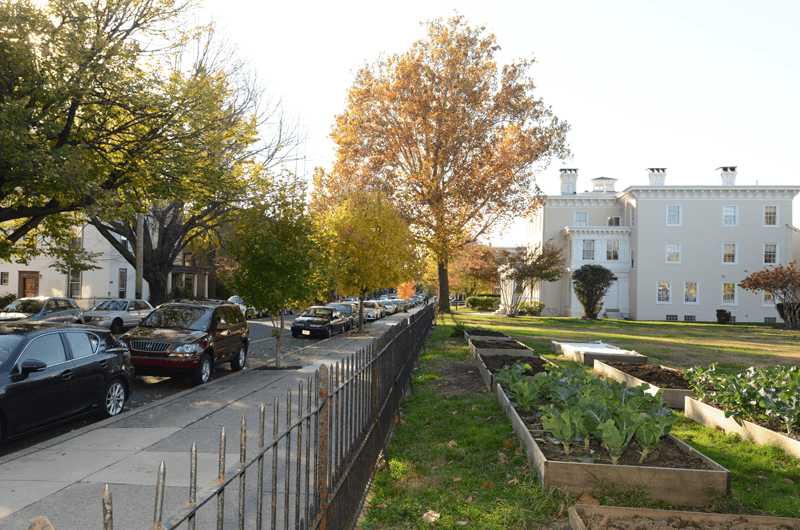 A community garden at Drexel's Dornsife Center for Neighborhood Partnerships in West Philadelphia