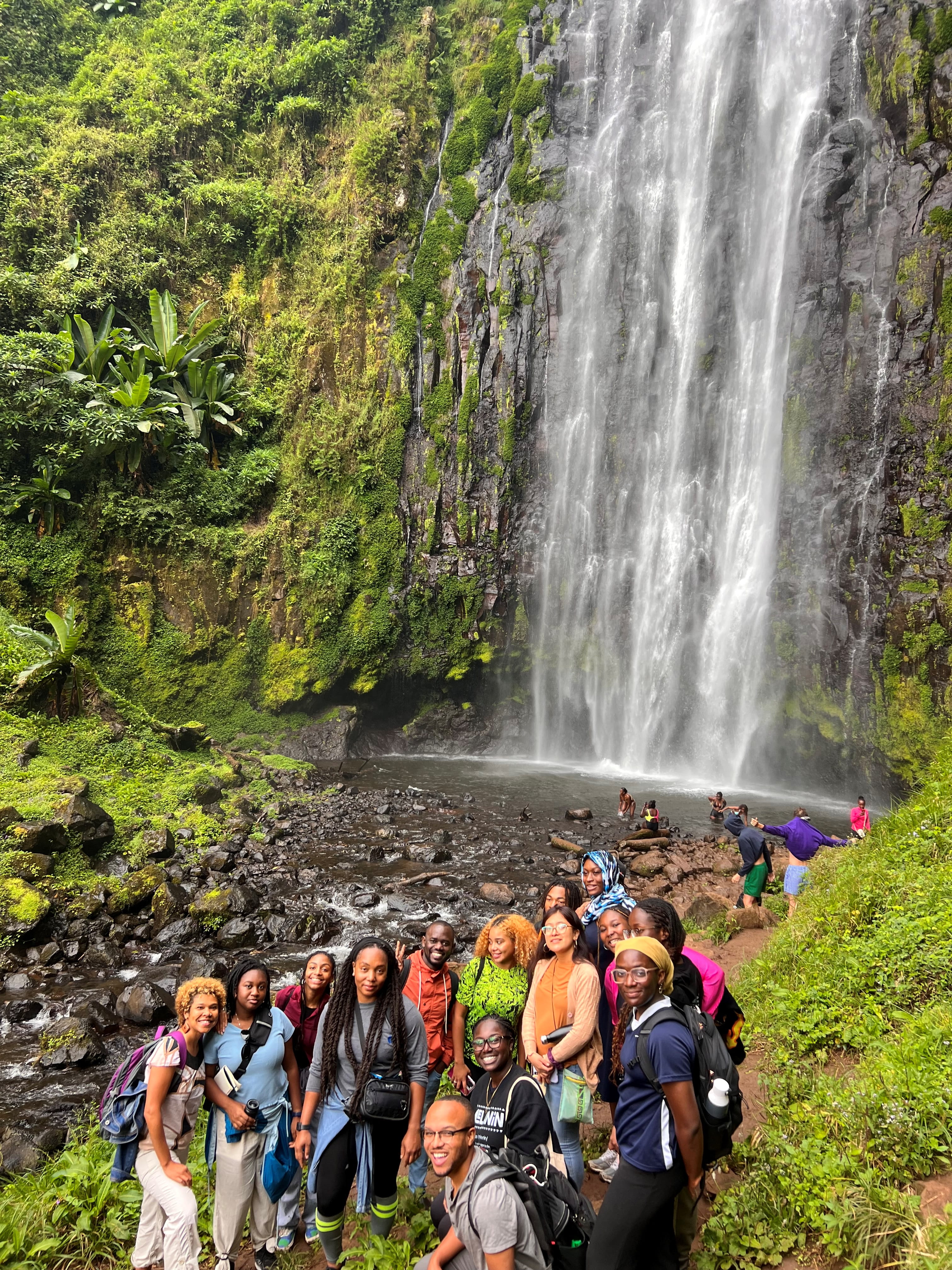 Students in front of a waterfall.