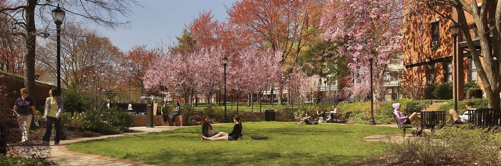 Students sitting down in the Rush Alumni Garden