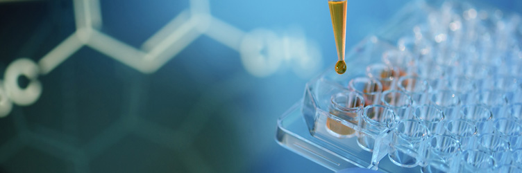 Elements of a laboratory experiment.