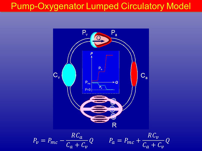 Pump Oxygenator Lumped Circulatory Model