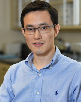 Dong Wang, PhD, Principal Investigator, The Wang Lab