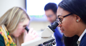Students in the Graduate School for Biomedical Sciences and Professional Studies viewing slides under a microscope.