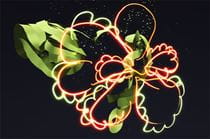 Virtual reality 3D drawing of a flower