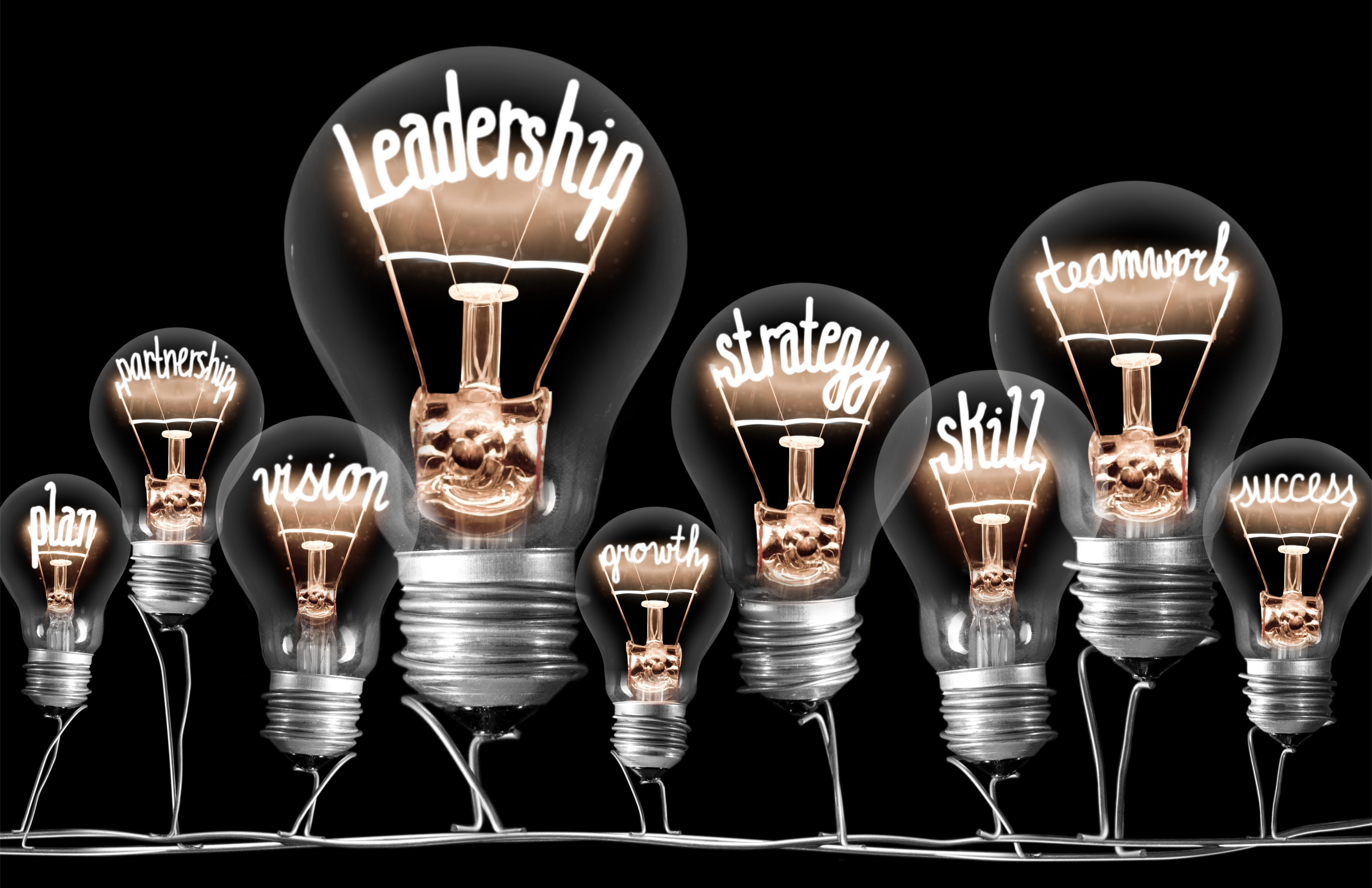 Lightbulbs featuring words related to leadership